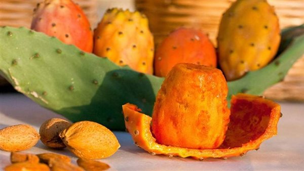 التين الشوكي