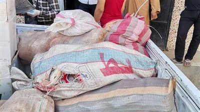 ضبط 267 كيلو لحوم وكبدة ومنتجات دواجن فاسدة بالغنايم في أسيوط 