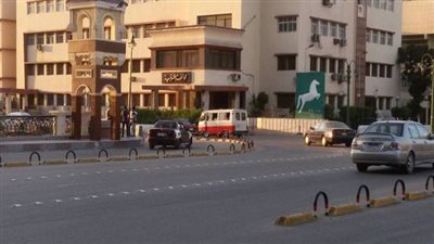 الشرقية في أسبوع.. كارثة تل الجراد وداء الفيل وأحكام سريعة بقضية هايدي