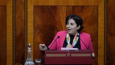 برلمانية مغربية: الرئيس السيسي يبذل مجهودًا جبارًا لوقف إطلاق النار على غزة (حوار)