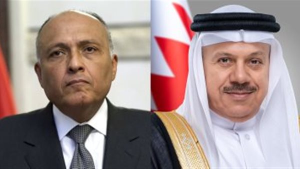 وزير الخارجية سامح