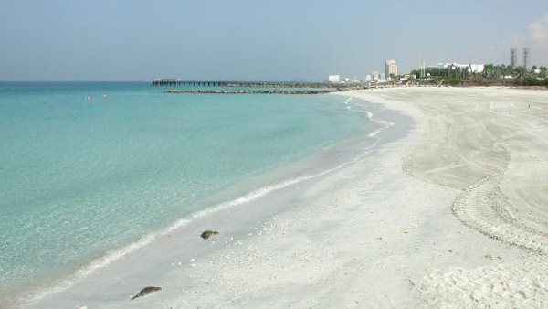 شواطئ الإسكندرية