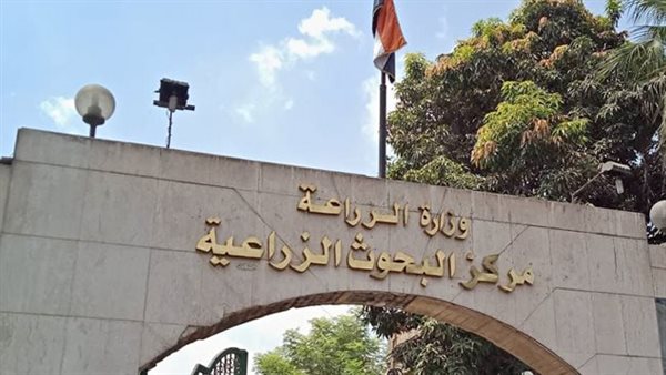 البحوث الزراعية