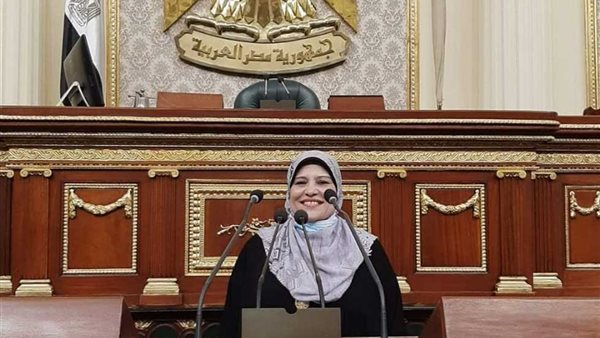 النائبة زينب السلايمي