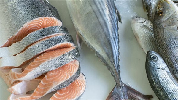  أسماك السلمون