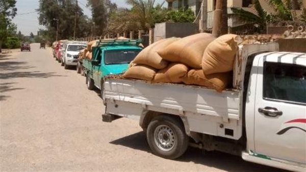 موسم حصاد القمح بالشرقية