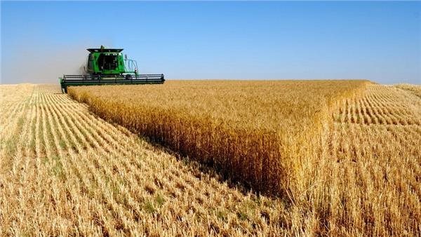 مشروع المليون ونصف