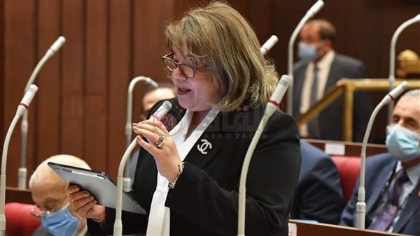 وكيل مجلس الشيوخ