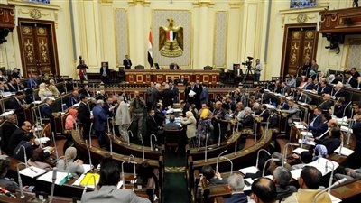 أول تعليق من البرلمان عن وجود الفطر الأسود في مصر (خاص) 