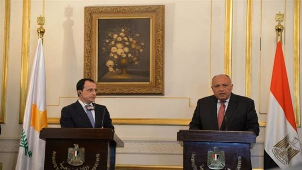 سامح شكري وزير الخارجية