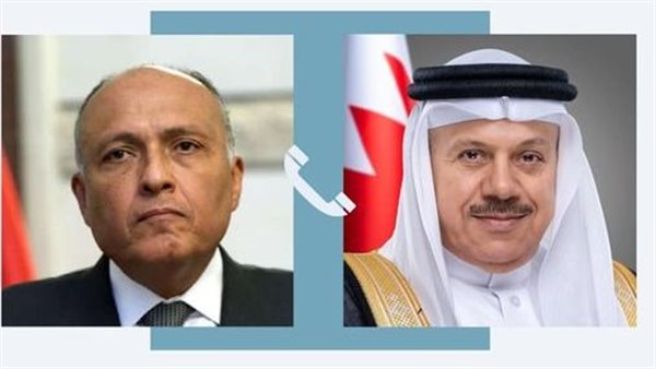 وزير الخارجية ونظيره