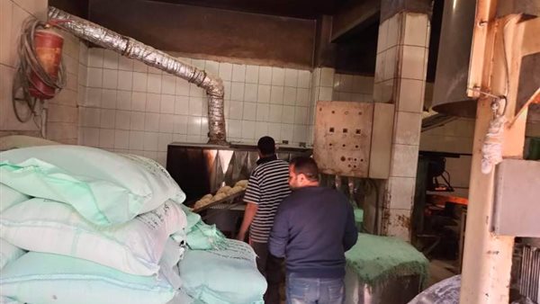 حملة تموينية