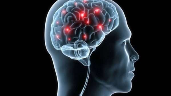 صحة الدماغ