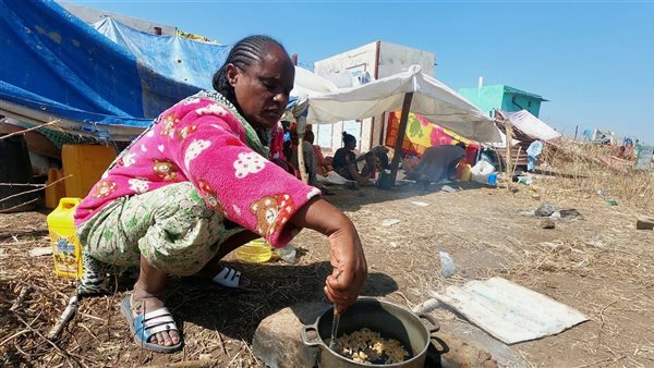  إقليم تيجراي