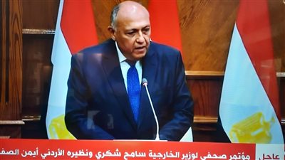 وزير الخارجية: مصر تعمل على إنهاء معاناة الشعب الفلسطيني