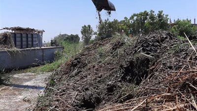 إزالة 7 حالات تعد جديدة على نهر النيل في قنا