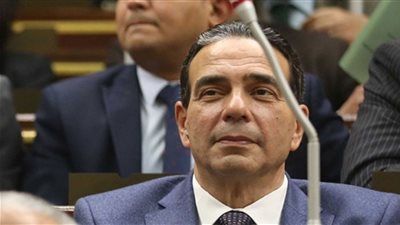 برلماني ينتقد تعدد مجالس الإدارة بصندوق الطوارئ الطبية