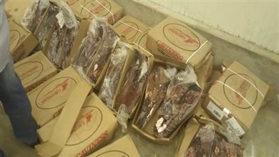 ضبط 232 كيلو لحوم وأسماك غير صالحة للاستهلاك الآدمي بدمياط 