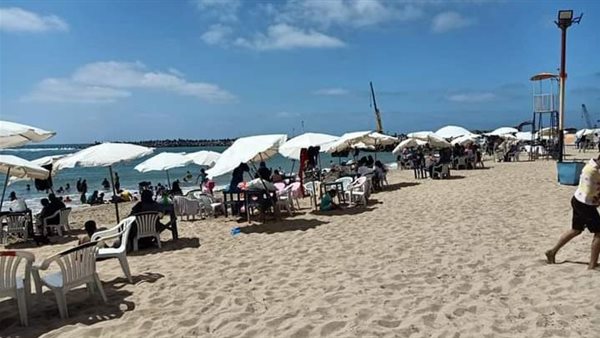 شواطئ الإسكندرية