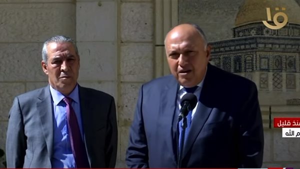 سامح شكري وزير الخارجية