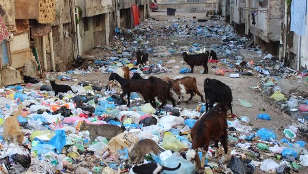 مساكن وابور الجاز