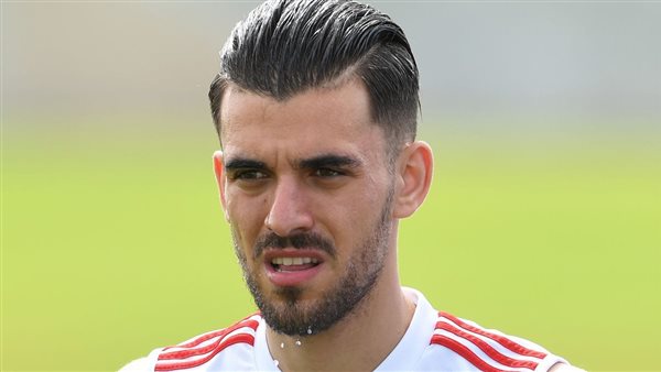 داني سيبايوس