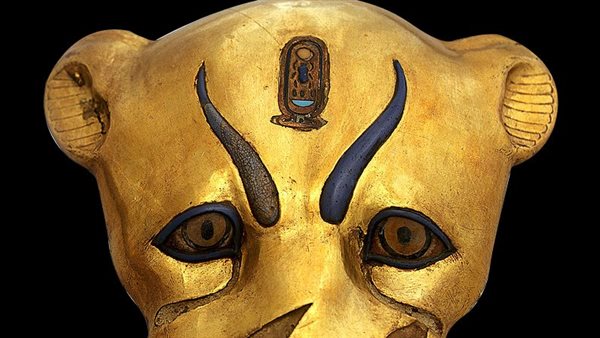  رأس فهد ضمن مقتنيات