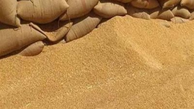 رسميًا.. الشرقية تنتهي من حصاد المساحة المزروعة بالقمح قبل انتهاء الموسم 