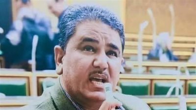 برلماني يطالب بتوفير سكن بديل للمتضررين من عمليات الإزالة بمحور ترعة المحمودية