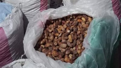 ضبط 250 طن تُمور فاسدة قبل بيعها بسوق الحضرة في الإسكندرية