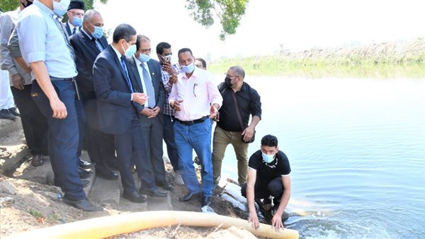 محافظ الغربية يشهد