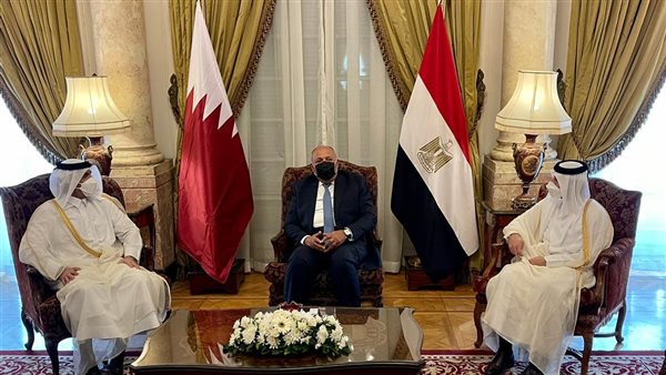 وزيرا خارجية مصر