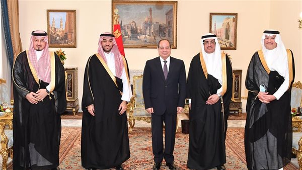 لقاء السيسي ووزير