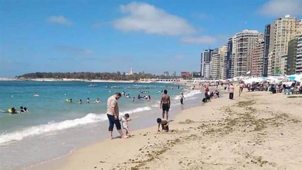 شواطئ الإسكندرية