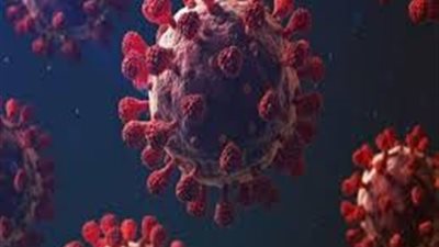 البرازيل تعلن العثور على سلالة جديدة من فيروس كورونا