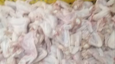 ضبط 1.5 طن قطع دواجن غير صالحة للاستهلاك الآدمي بمجزر في كفر الشيخ