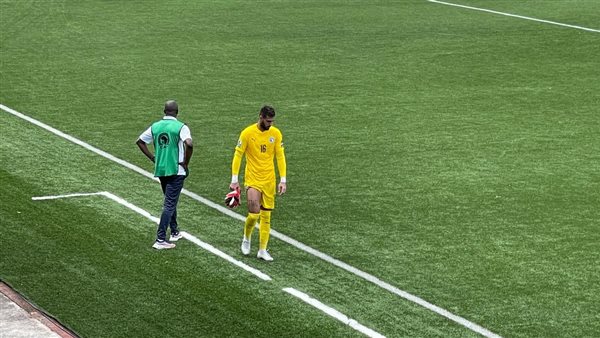 أحمد الشناوي