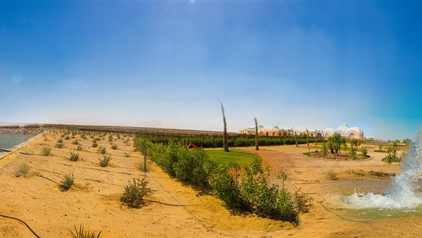 تنمية الريف المصري