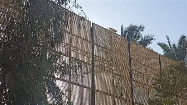 القطة أعلى سور قصر