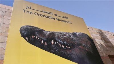 تعرف على أسعار تذاكر متحف التمساح بأسوان 