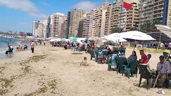 شواطئ الإسكندرية