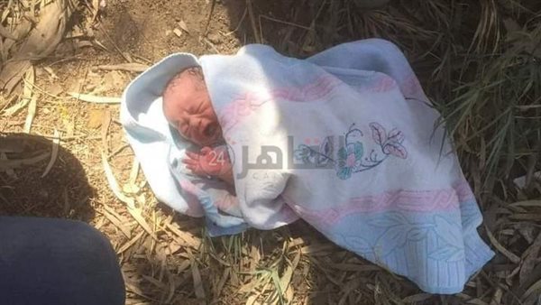 الطفل الرضيع 