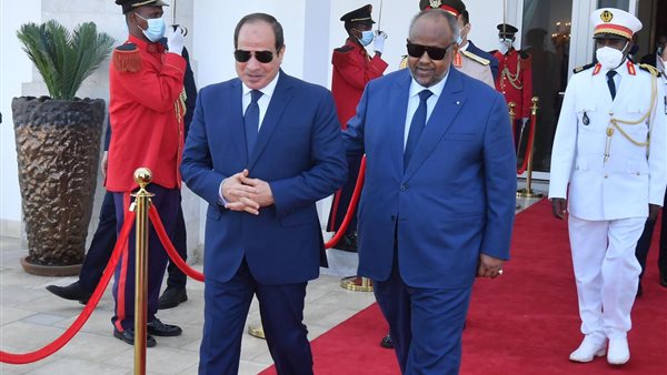 الرئيس السيسي 