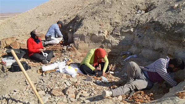 الكشف عن أحافير سمكية