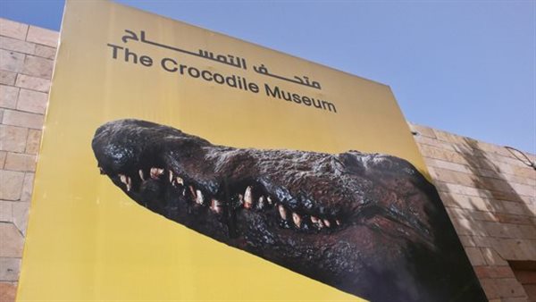 متحف التمساح 