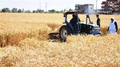 دورة لتدريب 50 باحثا على تقليل الفقد في الاقماح المصرية