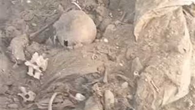 60 جمجمة بشرية حصيلة واقعة جماجم ورفات الطريق الحر بالقليوبية ومسطرد