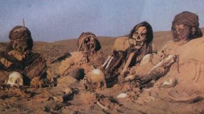 جماجم القليوبية.. خبير قانون يوضح عقوبة اقتناء عظام آدمية  