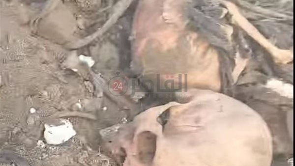 جماجم ورفات موتى