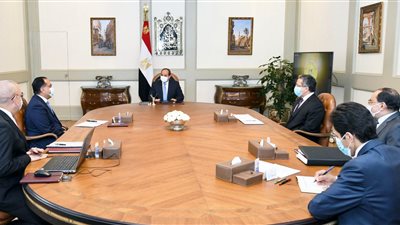 السيسي يوجه بالاستغلال الأمثل لأصول الدولة من الأراضي والسواحل وصون قيمتها كثروة قومية